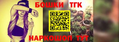 СК Партизанск