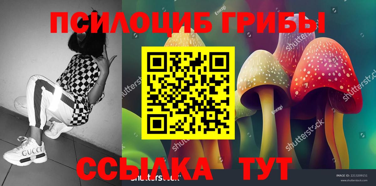 где можно купить наркотик  Псилоцибиновые грибы Cubensis  Сергиев Посад  Вход с VPN  Псилоцибиновые грибы ЛСД 