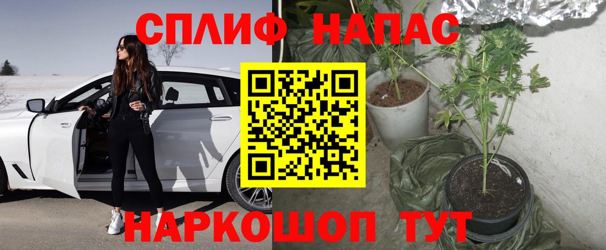 Шишки марихуана план Сергиев Посад